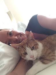 Let's learn more about cats with ear tufts and cat ear furnishings — otherwise known as new little things in life to smile about. Ear Tufts On Dsh Cats Page 2 Thecatsite