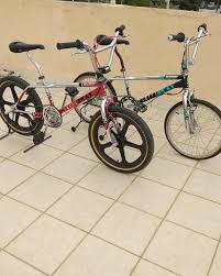 Image result for Mimosa 1988 Tracer