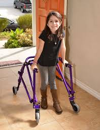 Image result for Walkers