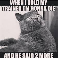 Personal Trainer Tap The Pin If You Love Super Heroes Too Cause Guess What You Will Love These Super Hero Fitness Shirts Workout Humor Gym Memes Gym Humor