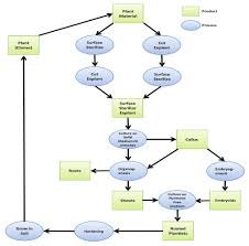 Plant Tissue Culture Current Status And Opportunities