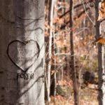 Depending on what kind of surface (masonry, concrete, metal, wood, etc.) and what kind of paint you're dealing with, the answer to the question of how to remove graffiti can have multiple answers. Graffiti Paint On Trees How To Remove Graffiti Paint From Trees