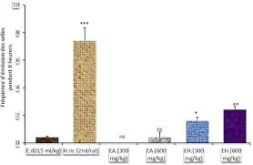 Image result for Cogniauxia