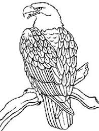 You'll find everything from eagle colorings on this page. Eagle Coloring Pages