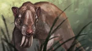 How Fast Could A Saber-Toothed Tiger Run And How Does That Compare To  Modern-Day Big Cats? - Quora