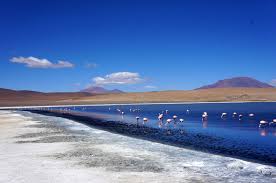 Bolivia is a central south american country. Backpacking Bolivia Our Travel Guide Of The Best Things To Do In Bolivia