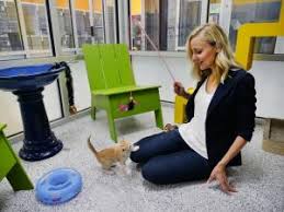 When does the humane society of boulder valley close? Pushing Boundaries Certificate Can Lead To Career Serving Animals Cu Boulder Today University Of Colorado Boulder