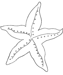 Amazing Starfish Coloring Page Kids Play Color In 2020 Fish Coloring Page Coloring Pages Crafts With Pictures