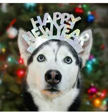 Siberian Husky Happy New Year Dog Holiday Husky Siberian Husky