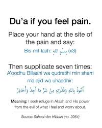 Pin On Islam Quotes