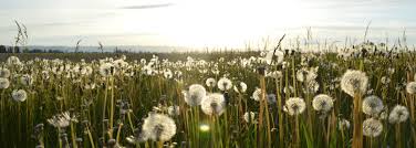 Maybe you would like to learn more about one of these? Funeral Homes Columbus Oh Jerry Spears Funeral Home