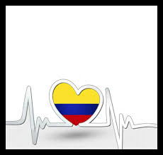Pin De Erikavargass En Venezuela Bandera De Colombia Bandera De Venezuela Colombia