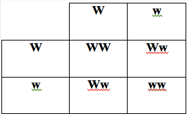 dominant inheritance genetics generation