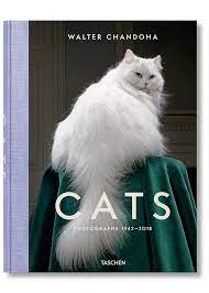 Gift Ideas For Friends Gifts For Every Type Of Friend On Your List Cat Photography Cat Photo Cats