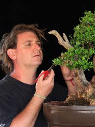 Msu don't tell people how to do things, tell them what to do and let them surprise you with their results. Sergio Luciani Bonsai Empire