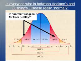 Chart Of Cortisol Levels Throughout Day Google Search