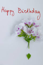 Check spelling or type a new query. Happy Birthday Greeting Card With Fresh Flowers On White Background Stock Image Image Of Flowers Cake 118257559