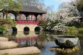 Ostasiatische skulpturen, brücken, ein teehaus sowie kamelien und zierkirschen prägen ihn. Japanischer Garten Leverkusen I Foto Bild Deutschland Europe Nordrhein Westfalen Bilder Auf Fotocommunity
