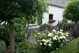 Baume Kugelakazie Hortensien Buchs Gartenreise Holland Garten Ideen Garten Hortensien