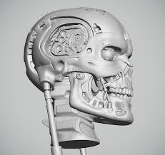 3d Endo Skull Terminator Model Terminator Skull Model