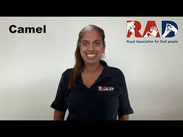 Just get the same camelcase error without any change. British Sign Language Bsl Video Dictionary Camel