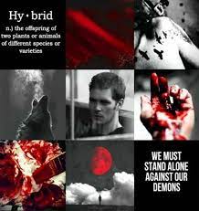 Klaus mikaelson aesthetic“requested by bohogypsyhuntress ”. The Other Miracle Baby Aesthetic Wattpad