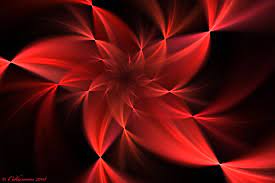 Red Flower Swirl Wallpaper Red Flower Wallpaper Red Flowers Best Wallpaper Hd