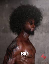 Big Afro Hair For Genesis 3 And 8 3d Character 3dmodel Dazstudio Big Afro Afro Hairstyles Afro