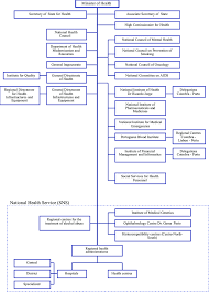 Plans the delivery of health services; Organizational Chart Of Ministry Of Health Structure Download Scientific Diagram