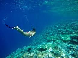 Dat zal ook in het hoofd. Snorkelen In Kroatie Vakantie In Kroatie Insider Reis Info