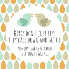 Birds That Dont Fly Birds Don T Just Fly They Fall Down And Get Up Nobody Learns Without Getting It Wrong Look How Far You V I Wont Give Up Falling Down Losing Friends