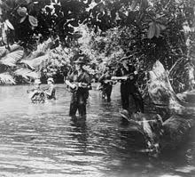 Florida takes a rational approach to communist insurgents and rioters of all kinds. Indonesia Malaysia Confrontation Wikiwand
