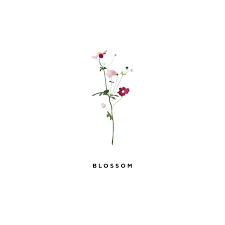 Fun Images Cute Tiny Flower Wallpaper Minecraft mineblr screenshot gif gifset wallpaper desktop wallpaper meadow house build green house flowers cherry blossom tree pond cute aesthetic colorful cottagecore aes gaming q 1k*. fun images