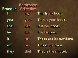 Baiklah cukup sekian materi kali ini. Possessive Adjective Dalam Bahasa Inggris