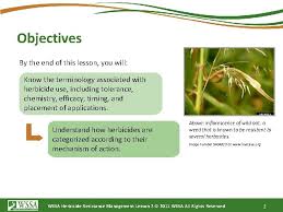 Herbicides can act upon a weed in two different ways. How Herbicides Work Lesson 2 The Copyright In