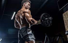 The great collection of gym wallpapers for desktop, laptop and mobiles. Wallpaper Power Pose Back Fitness Gym Images For Desktop Section Muzhchiny Download