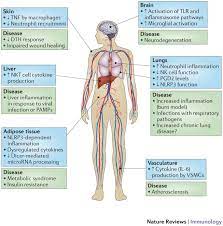 We performed a comprehensive mapping of the igg response against ebv comparing 50 healthy controls with 92 cfs patients using a. Age Dependent Dysregulation Of Innate Immunity Nature Reviews Immunology