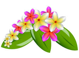 Plumeria Flower Vector Download 1 000 Vectors Page 1 Vector Flowers Flower Clipart Watercolor Flower Vector