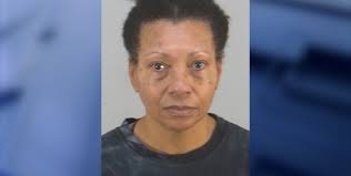 Woman allegedly drowned dog in airport bathroom after pet denied boarding,  police say