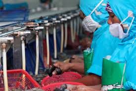 Kabar baiknya, nih, keduanya masih menjadi tren makanan dan minuman pada tahun 2020. Gapmmi Lahan Menjadi Persoalan Bagi Industri Makanan Dan Minuman