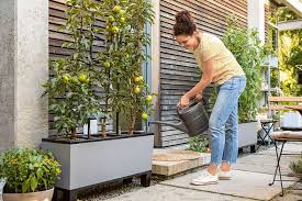 Sie schützen vor neugierigen blicken, begrenzen unsere gärten und sehen auch noch gut. Die Neue Lust Am Gartnern Mit Passenden Pflanzgefassen Machen Garten Balkon Und Terrasse Noch Mehr Spass Ratgeberbox Tipps Tricks Informationen