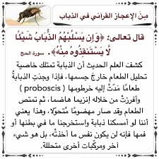 الآية ي ا أ ي ه ا الن اس ض ر ب م ث ل ف اس ت م ع وا ل ه إ ن ال ذ ين ت د ع ون م ن د ون الل ه ل ن ي خ ل ق وا ذ ب اب ا و ل و ا Quotes Quran Islam