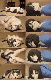 Saberface Laundry Day By Skyregalias English Translated Typeset Anime Funny Anime Memes Funny Type Moon Anime