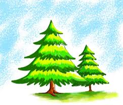 Tree drawing with color step by step. How To Draw Christmas Tree Easy Step By Step Christmas Tree Drawing Easy With Color