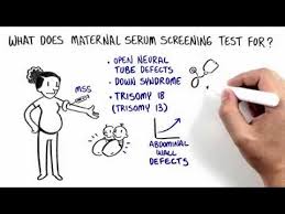 Maternal Serum Screening Mss Youtube