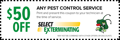 Getting rid of stink bug problems. Stink Bugs Select Exterminating