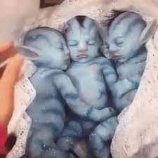 Avatar Babies For Sale For 1000 Avatar Babies Avatar Baby Doll Bunny Mom