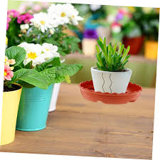 Amazon | Yardenfun 10個 多肉植物トレイ ポット用の植物トレイ 鳥の餌箱トレイ 植木鉢の容器 鉢植えトレー 多肉植物ソーサー 盆栽鉢受け皿  植物水トレイ 植物の水受けトレイ 水皿 赤 プラスチック | 受皿