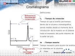 Fundamentos De Cromatografia Gaseosa Ppt Descargar