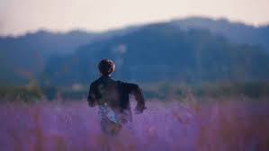 Check spelling or type a new query. Stray Kids Hellevator M V Gif Gfycat